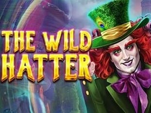 The Wild Hatter game icon